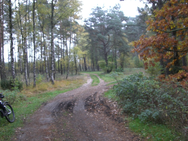 CTF Celle Strecke 091